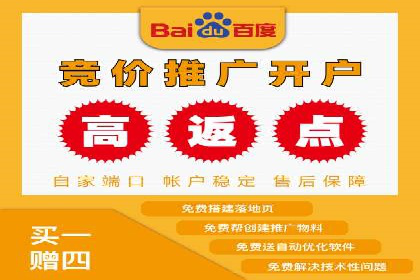 SEM推广案例：打造高效广告投放策略